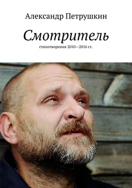 Александр Петрушкин Смотритель. Стихотворения 2010—2016 гг. обложка книги