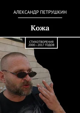 Александр Петрушкин Кожа. Стихотворения 2000—2017 годов обложка книги