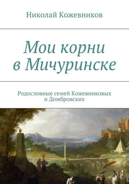 Николай Кожевников Мои корни в Мичуринске. Родословные семей Кожевниковых и Домбровских обложка книги