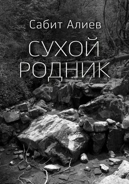 Сабит Алиев Сухой родник. Рассказ обложка книги