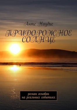 Анте Наудис Придорожное солнце. Роман основан на реальных событиях обложка книги