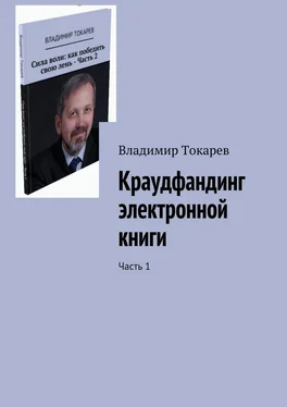 Владимир Токарев Краудфандинг электронной книги. Часть 1 обложка книги