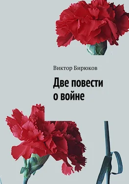 Виктор Бирюков Две повести о войне обложка книги