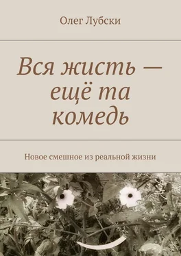 Олег Лубски Вся жисть – ещё та комедь. Новое смешное из реальной жизни обложка книги