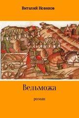 Виталий Новиков - Вельможа