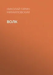 Николай Гарин-Михайловский - Волк