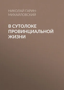 Николай Гарин-Михайловский В сутолоке провинциальной жизни обложка книги