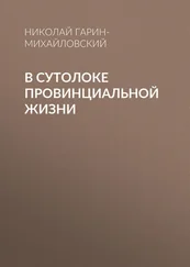 Николай Гарин-Михайловский - В сутолоке провинциальной жизни