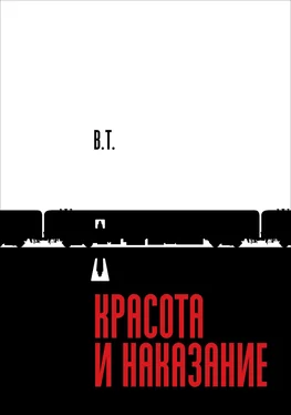 В. Т. Красота и наказание обложка книги