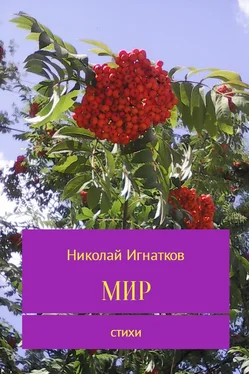 Николай Игнатков Мир обложка книги