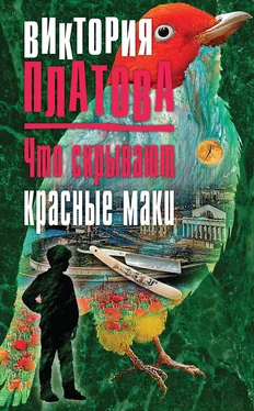 Виктория Платова Что скрывают красные маки обложка книги