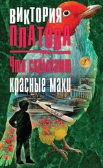 Виктория Платова - Что скрывают красные маки