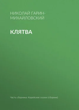 Николай Гарин-Михайловский Клятва обложка книги