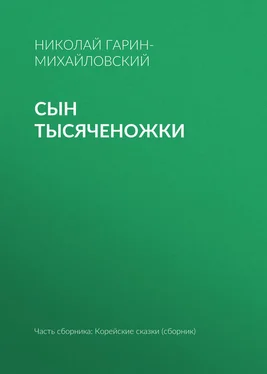 Николай Гарин-Михайловский Сын тысяченожки обложка книги