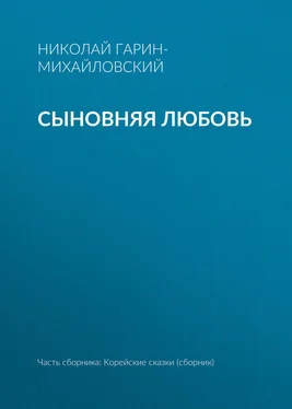 Николай Гарин-Михайловский Сыновняя любовь обложка книги