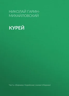 Николай Гарин-Михайловский Курей обложка книги