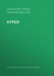Николай Гарин-Михайловский - Курей