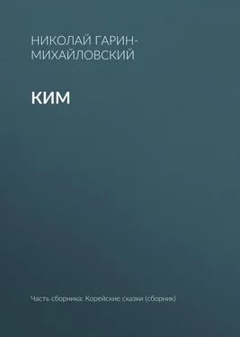 Николай Гарин-Михайловский Ким обложка книги