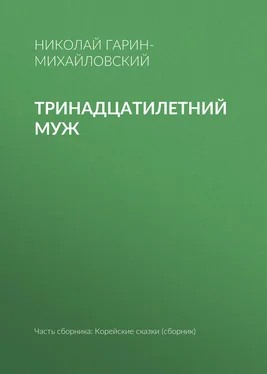 Николай Гарин-Михайловский Тринадцатилетний муж обложка книги