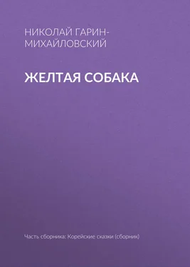 Николай Гарин-Михайловский Желтая собака обложка книги