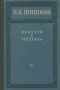 Вячеслав Шишков Повести и рассказы обложка книги