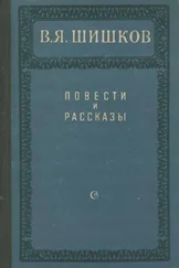 Вячеслав Шишков - Повести и рассказы