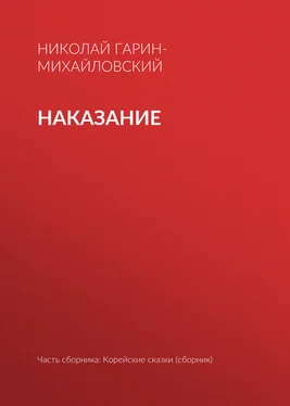 Николай Гарин-Михайловский Наказание обложка книги