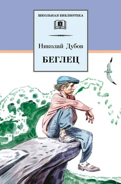 Николай Дубов Беглец (сборник) обложка книги