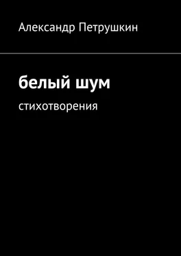 Александр Петрушкин Белый шум. Стихотворения обложка книги