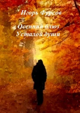 Игорь Фурсов Осенний блюз усталой души обложка книги