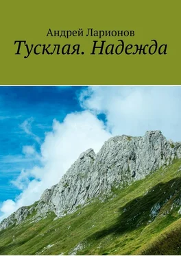 Андрей Ларионов Тусклая. Надежда обложка книги