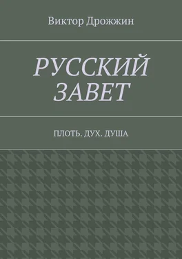 Виктор Дрожжин Русский Завет. Плоть. Дух. Душа обложка книги