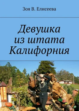 Зoя Eлисеева Девушка из штата Калифорния обложка книги