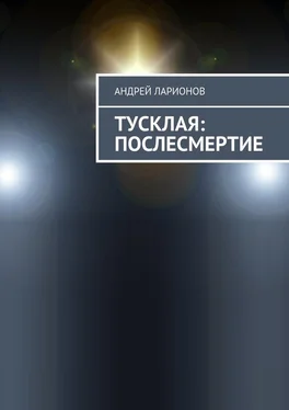 Андрей Ларионов Тусклая: Послесмертие обложка книги