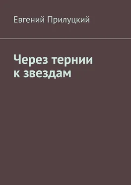 Евгений Прилуцкий Через тернии к звездам обложка книги