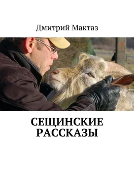 Дмитрий Мактаз Сещинские рассказы обложка книги