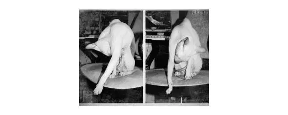 Несколько дней назад милая френдесса прислала мне ссылки на фотографии - фото 4