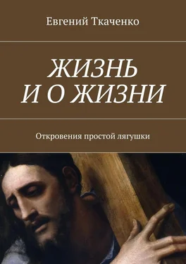 Евгений Ткаченко Жизнь и о жизни. Откровения простой лягушки обложка книги