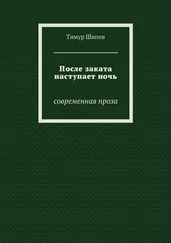 Тимур Шипов - После заката наступает ночь. Современная проза