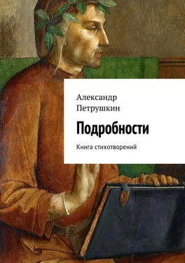 Александр Петрушкин Подробности. Книга стихотворений обложка книги