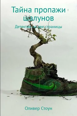 Оливер Стоун Тайна пропажи шалунов обложка книги