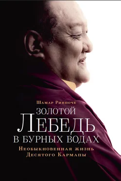 Шамар Ринпоче Золотой лебедь в бурных водах. Необыкновенная жизнь Десятого Кармапы обложка книги