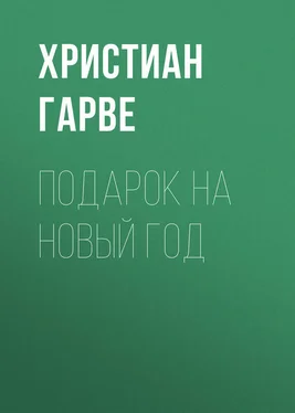 Христиан Гарве Подарок на Новый год обложка книги