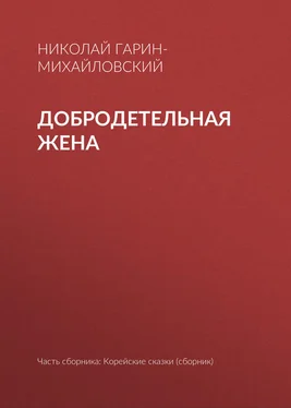 Николай Гарин-Михайловский Добродетельная жена обложка книги