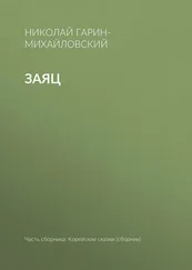 Николай Гарин-Михайловский - Заяц