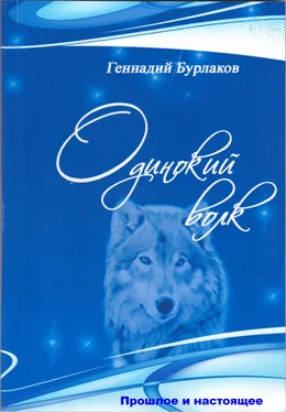 Геннадий Бурлаков Одинокий Волк обложка книги