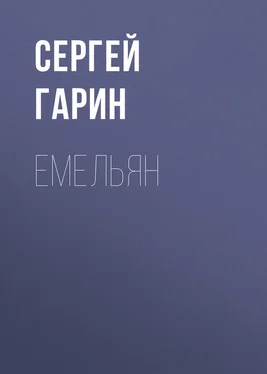 Сергей Гарин Емельян обложка книги
