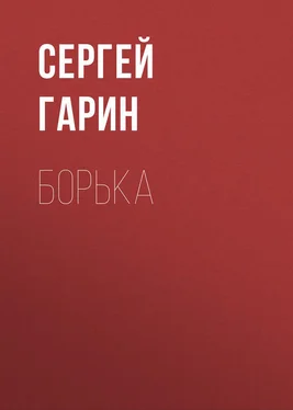 Сергей Гарин Борька обложка книги