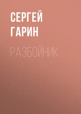 Сергей Гарин Разбойник обложка книги