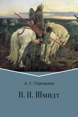 Александр Стрекалов П. П. Шмидт обложка книги